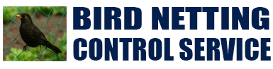 Bird Netting Control Service